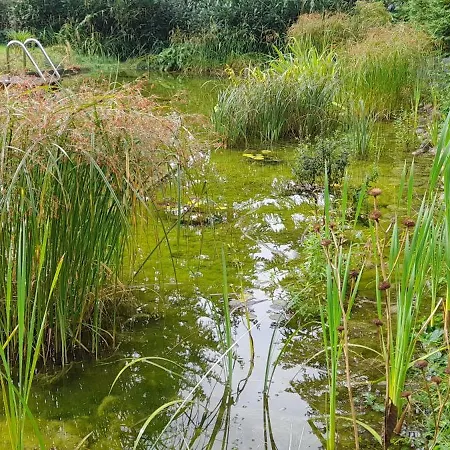 Haus Sonnenschein Vakantiehuis *